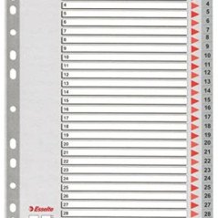 Jeu D'intercalaires Numérique ESSELTE