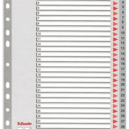 Jeu D'intercalaires Numérique ESSELTE