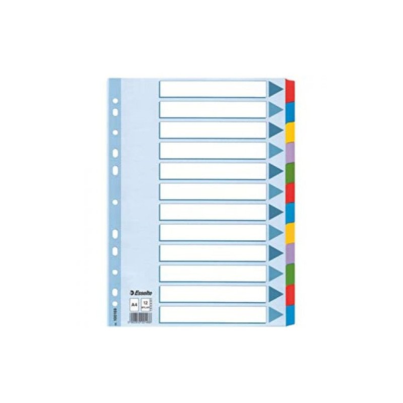 Jeu de 12 Intercalaires ESSELTE