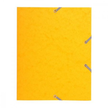 Chemises à Rabat Cartonnée